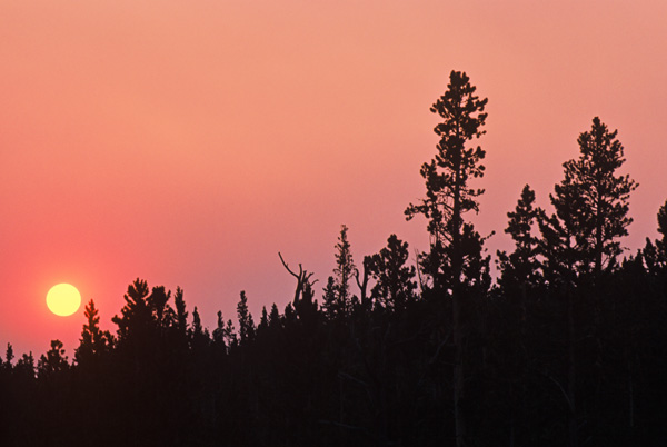 Firestorm Sunrise